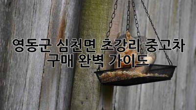 영동군 심천면 초강리 중고차 구매 완벽 가이드