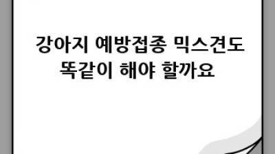 🐶 댕댕이 지킴이! 필수 강아지예방접종💉 완벽 가이드