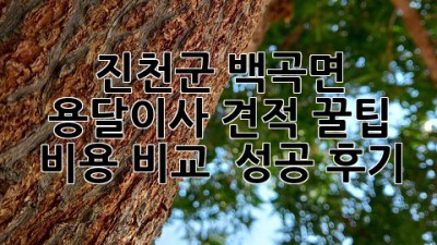 진천군 백곡면 용달이사 견적 꿀팁🍯 비용 비교 & 성공 후기